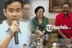 FX-Hadi-Rudyatmo-meminta-maaf-ke-Megawati-setelah-mendesak-Gibran.jpg