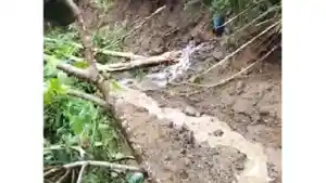 Tanah-longsor-yang-menutupi-dan-memutuskan-badan-jalan-di-jalur-trekking.jpg