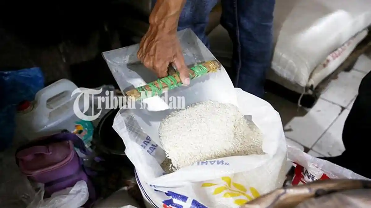 Marak Isu Beras Plastik, Pakar UGM Beri Penjelasan Soal Fakta Sebenarnya