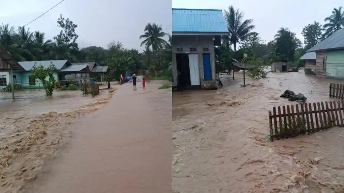 BREAKING NEWS Puluhan Rumah Terendam Banjir di Puncak Jaya Pohuwato Gorontalo