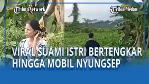 viral-aksi-suami-istri-bertengkar-hingga-mobil-nyungsep-ke-rawa-rawa.jpg