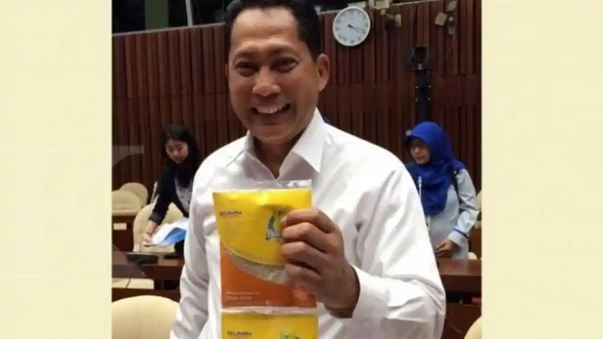 Buwas Pinjam Gudang TNI AU untuk Menaruh Beras