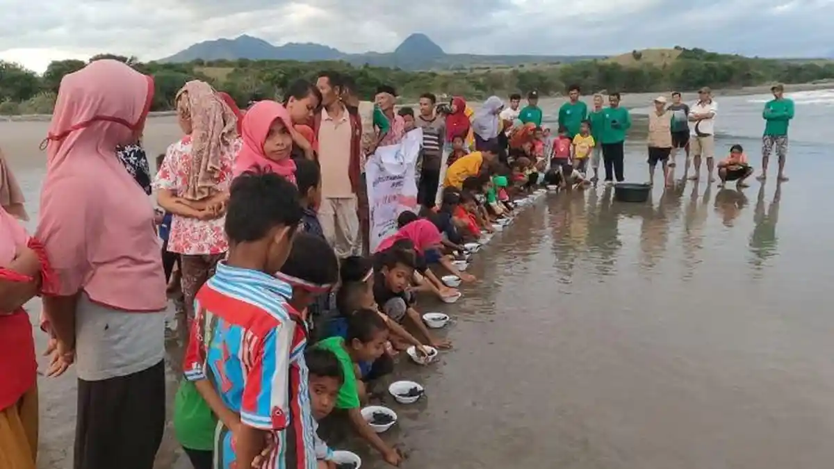 Pokmawas di Manggarai Barat Lepas 3.000 Penyu ke TNP Laut Sawu