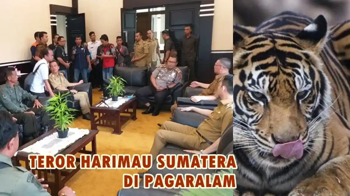 Walikota Imbau Wisatawan Jangan Ragu dan Pagaralam Aman Dikunjungi
