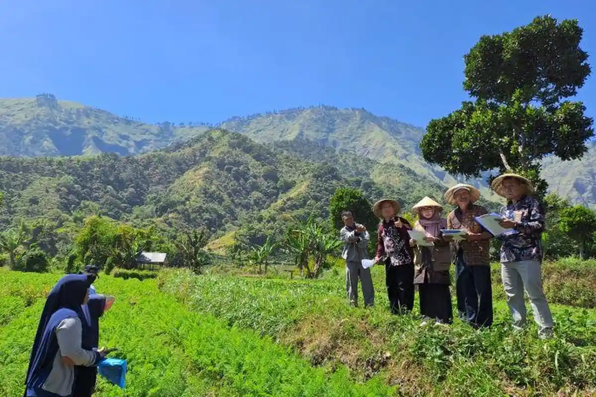 Disengketakan Ibu dan Anak, Lahan Pertanian di Sembalun Bumbung Diperiksa PA Selong