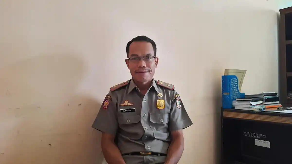 Maraknya Perang Merecon, Sat Pol PP Lombok Timur Siapkan Langkah Tegas