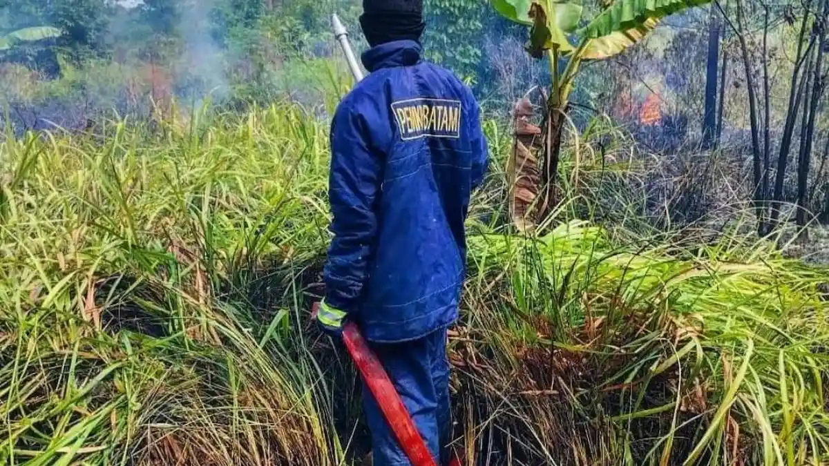 Awas Kebakaran Lahan di Batam dan Kepri, BMKG Prediksi Sepekan Kedepan