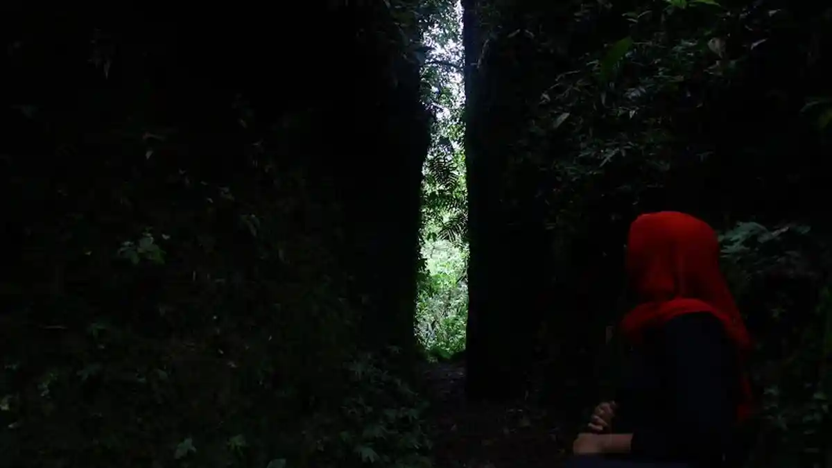 Susah Payah Tapi Asyik Menjelajahi Batu Belah di Hutan Belantara Sibolangit Setinggi 10 Meter