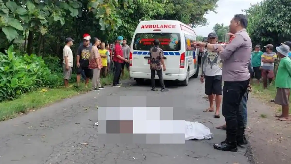 BREAKING NEWS - Pohon Tumbang di Gurah Kediri Timpa Remaja Pemotor, Nyawa Tak Terselamatkan