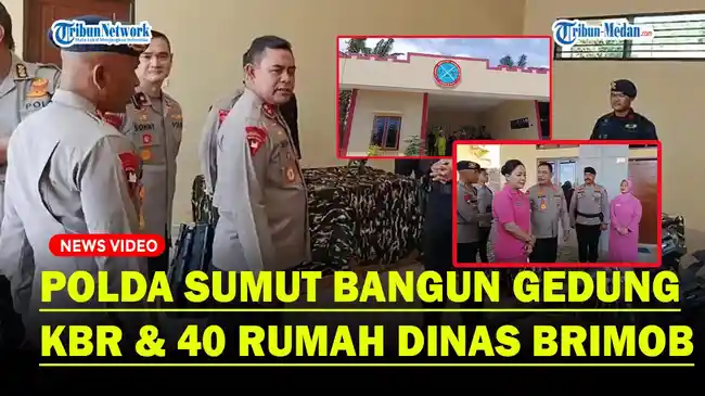 Tribun