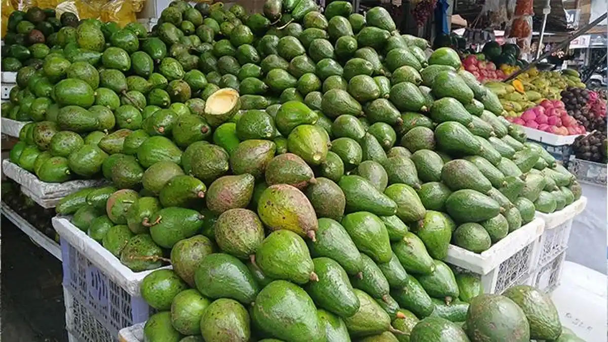 Berkah Libur Tahun Baru, Pedagang Alpukat di Bener Meriah Laris Manis