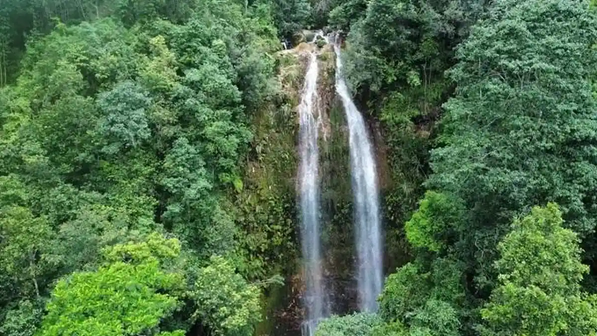 Wisata NTT, Pesona Cunca Pik, Panorama Air Terjun dari Ketinggian 40 Meter di Manggarai Timur
