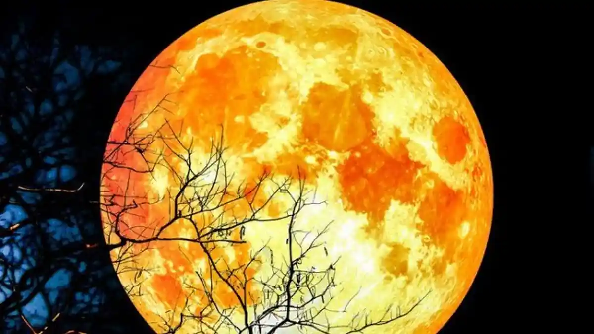 Inilah 5 Gerhana Bulan yang Terjadi di Indonesia dalam 4 Tahun Terakhir