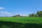 Pro-Kontra-Rencana-Pemindahan-Alun-Alun-Kepanjen-Malang-PDIP-Dukung-All-Out-Gerindra-Kaji-Ulang.jpg