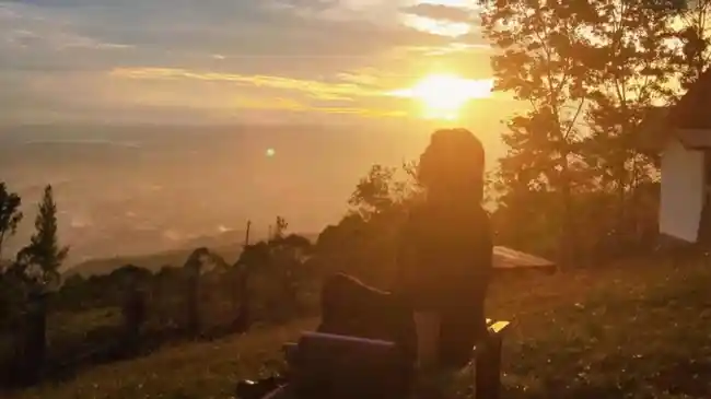 Tribun