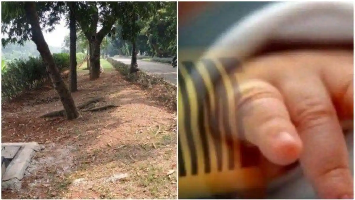 Heboh! Mayat Bayi Ditemukan dalam Goodie Bag Warna Merah di Kanal Banjir Timur, Sempat Dikira Boneka