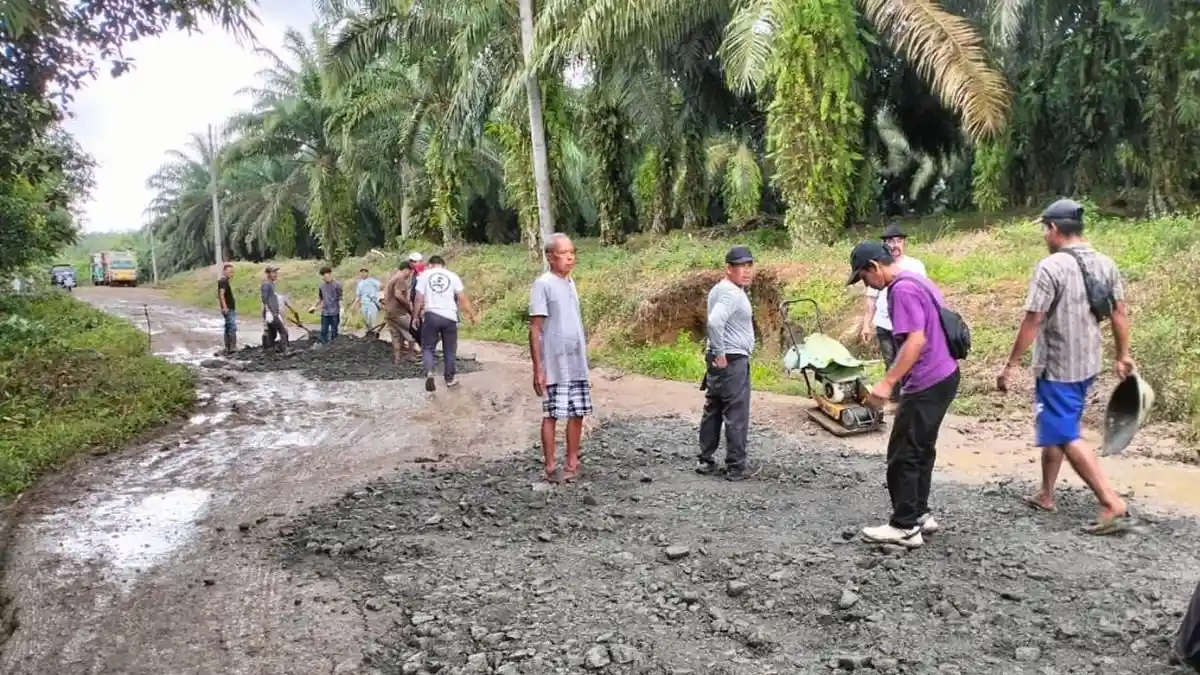 Tidak Dibantu Pemkab Lebak dan Perusahaan Sawit, Warga Cimarga Gotong Royong Perbaiki Jalan Rusak