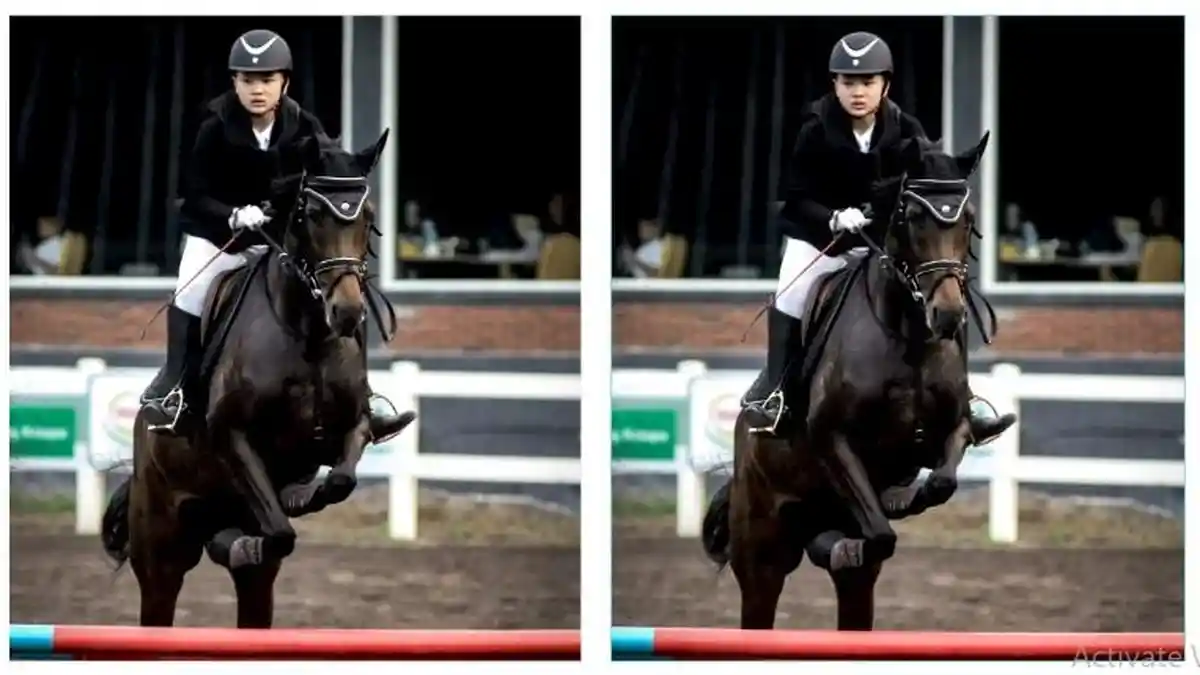 Brandon Toa Atlet Berkuda Sumut yang Jadi Bintang Surabaya Jumping Master 2024, Boyong 3 Gelar Juara