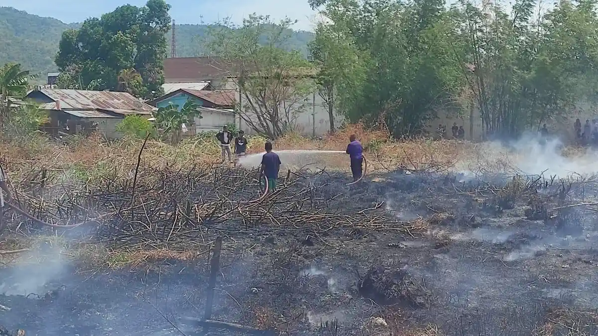 BREAKING NEWS Lagi! Kebakaran Lahan di Kota Gorontalo Nyaris Merambat ke Rumah Warga