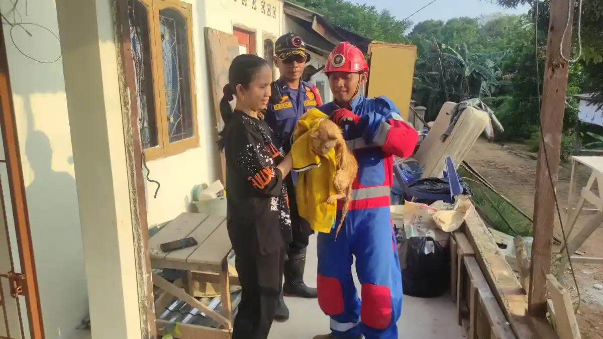 Kucing Terjebak di Sumur 10 M, Dievakuasi Lewat Call Center Bahagia 112
