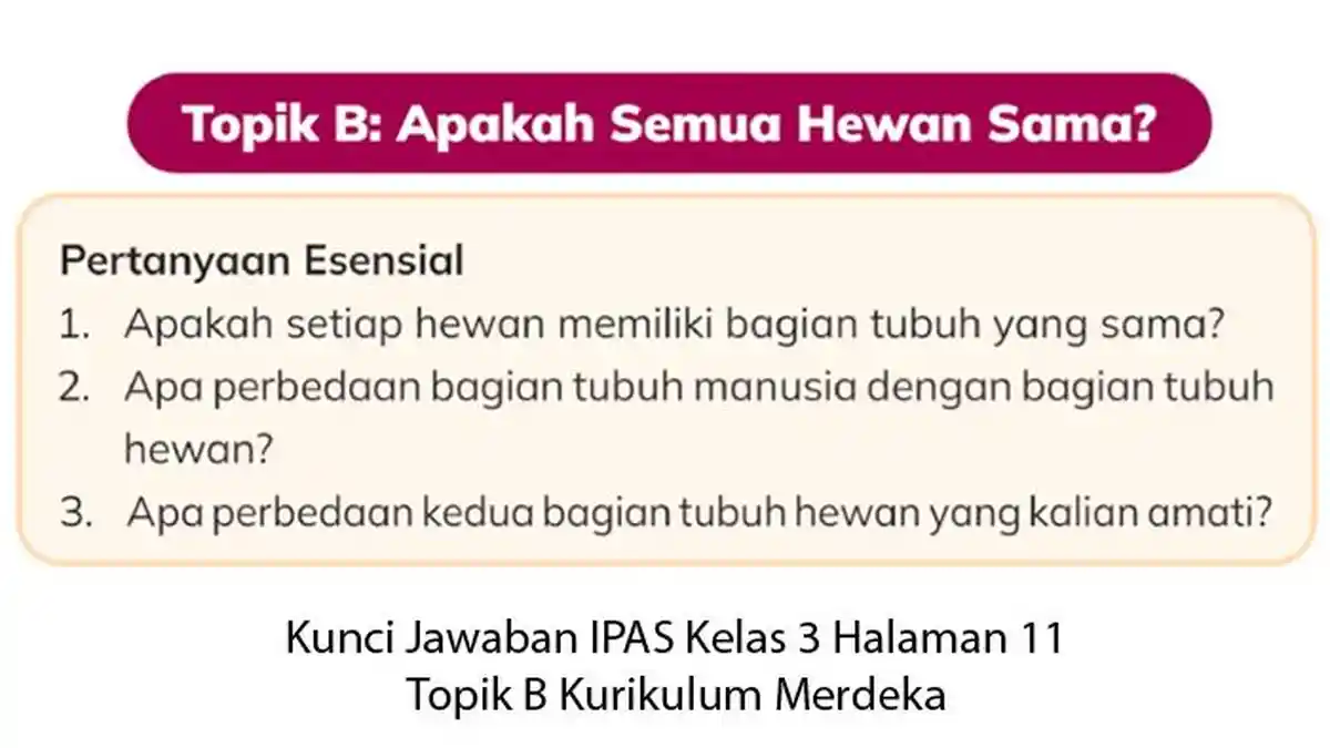 Kunci Jawaban IPAS Kelas 3 Halaman 11 Topik B Apakah Semua Hewan Sama ...