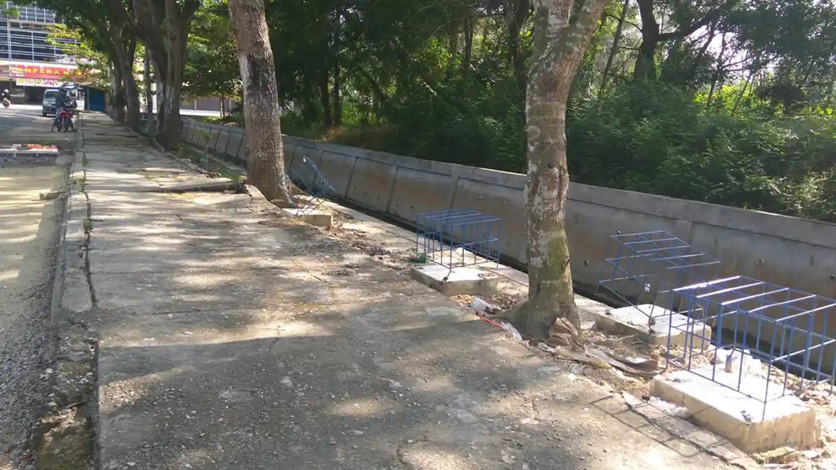 Lampu Sorot Pohon Ini Terbengkalai dan Terindikasi Korupsi