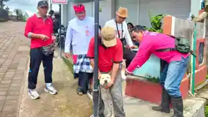 Vaksinasi-Emergency-di-Desa-Padangan-Kecamatan-Pupuan-oleh-Dinas-Pertanian-Tabanan.jpg