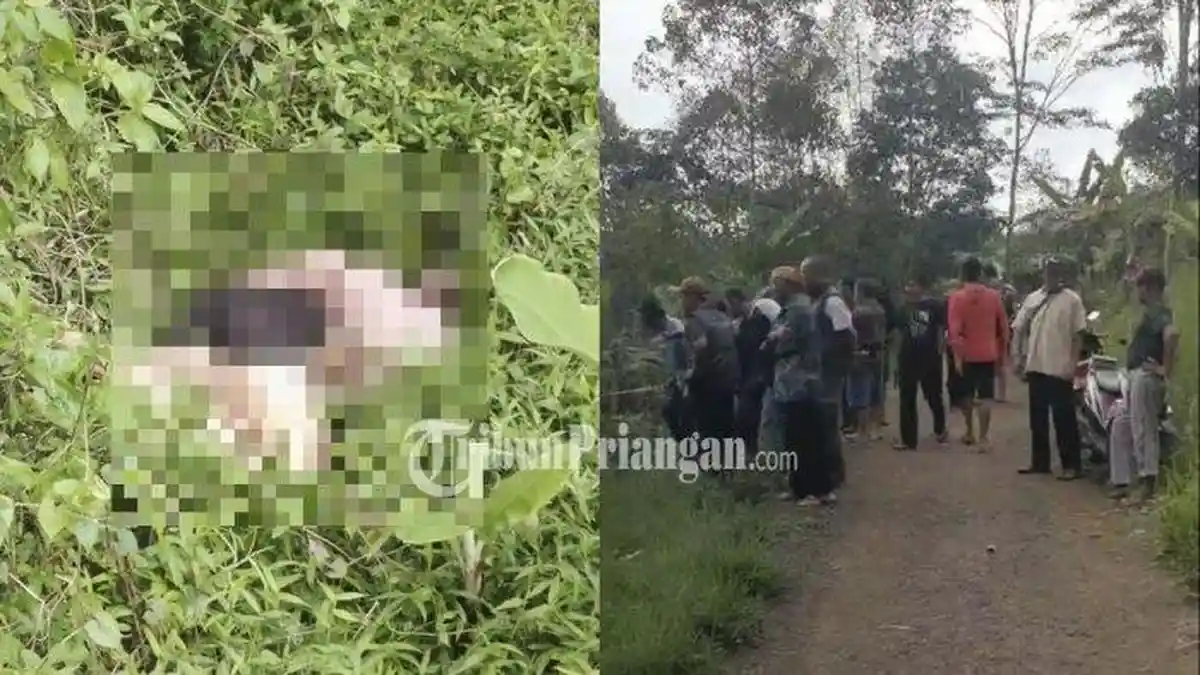 Setelah Bunuh Pacarnya di Kebun Durian, Herdis Sempat ke Kampus untuk Kuliah