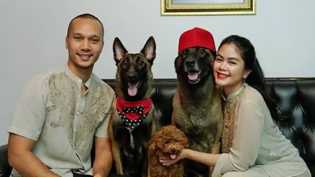 3 Bukti Cinta Bima Aryo ke Anjingnya Seusai ART Tewas Digigit, Ogah Jual Meski Ditawar Rp 2 Miliar
