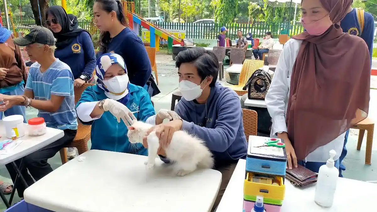 Makassar Cat Lovers Club Gelar Vaksin Rabies Gratis