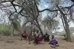 Kekeringan Perparah Kelaparan di Kenya