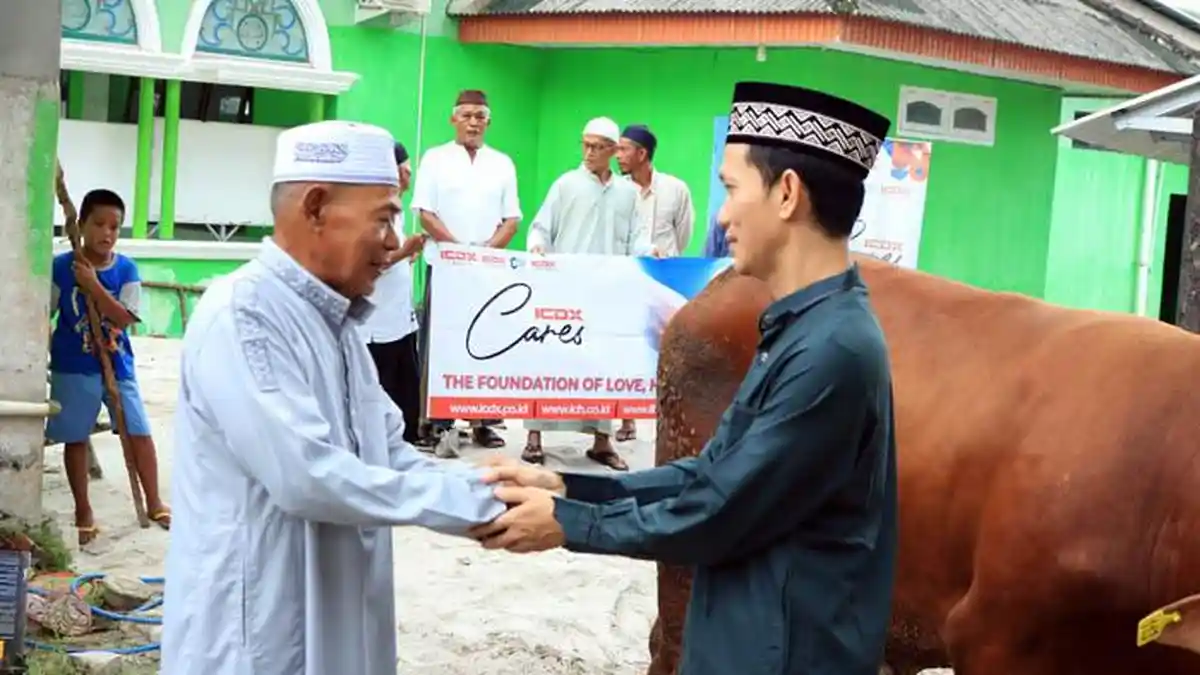 ICDX Group Serahkan Dua Sapi Limousin untuk Masyarakat  Bangka Belitung