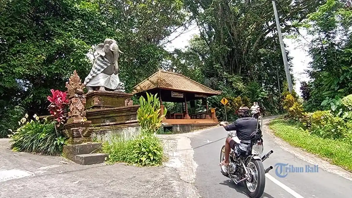Pernah Ada 2000 Wisatawan Berkunjung, Kini Desa Wisata Pinge Tabanan Masih Sepi Pengunjung