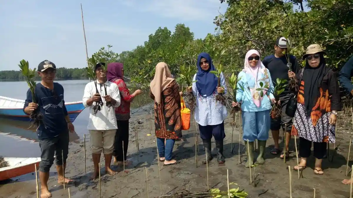 Cegah Abrasi, 1000 Pohon Mangrove Ditanam di Desa Pao Luwu Utara