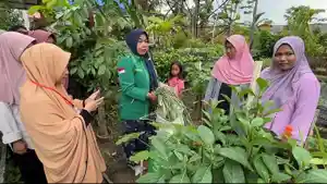 Sosok-Nurfajeri-Isnawati-Pelopor-Urban-Farming-Bank-Sampah-di-Kendari-Sulawesi-Tenggara-Sejak-2017.jpg
