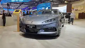 sedan-Z9-GT-di-giias.jpg