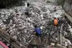 Petugas Pembersih Sampah Sungai Citepus