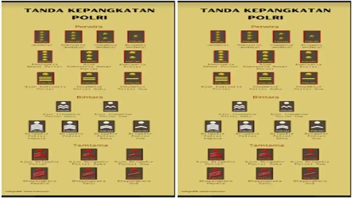 Daftar Pangkat Polisi Dari Terendah Sampai Tertinggi, Lengkap Gaji dan Tunjangan