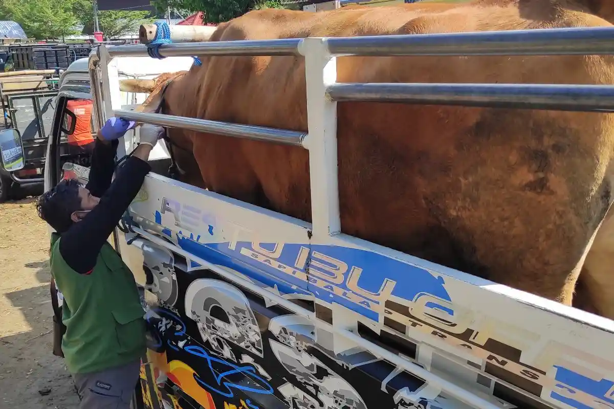 Ada Wabah PMK, Pemkot Blitar Mendata Sapi untuk Kebutuhan Hewan Kurban di Peternak 