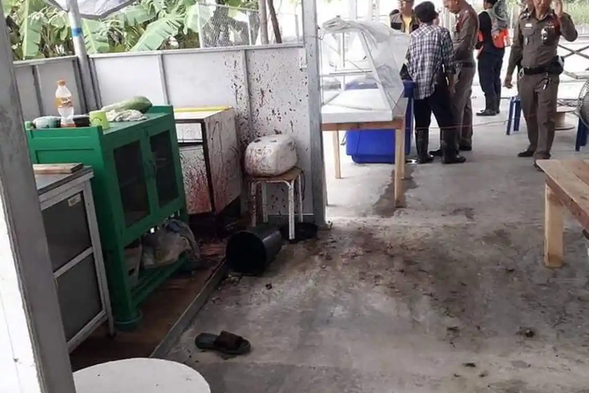 Kronologi Terungkapnya Mie Rebus Toping Daging Manusia, yang Memakannya Akan Alami Penyakit Ini