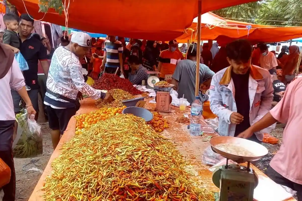 Rica di Gorontalo Kembali Pedas! Harganya Naik Lagi jadi Rp 80 Ribu per Kg