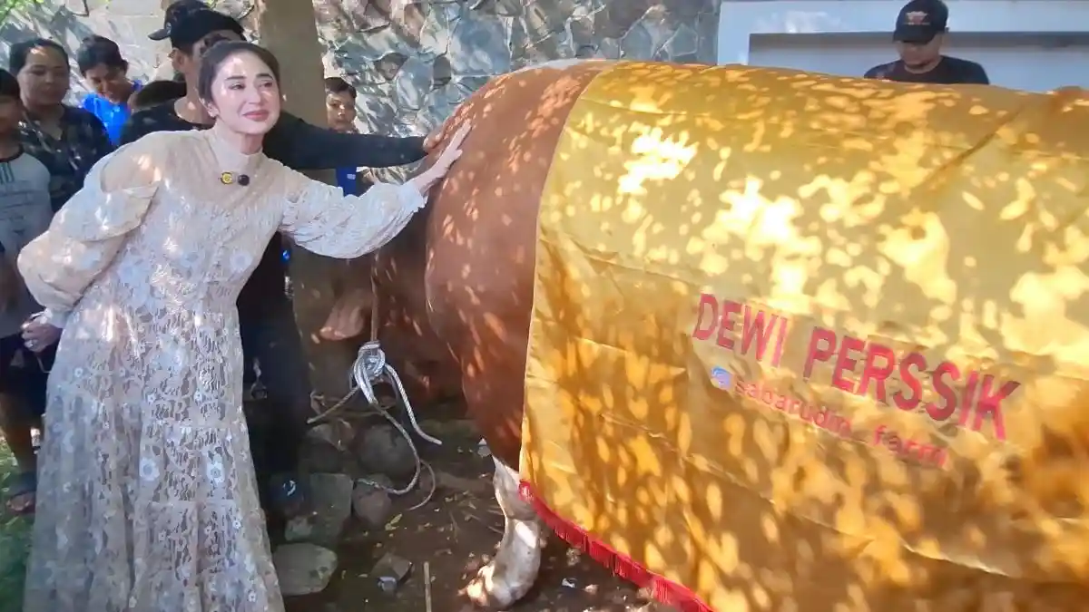 Dewi Perssik Kurban 2 Sapi Bernama Ipin dan Upin Seberat Total 2,4 Ton di Hari Raya Iduladha 2025