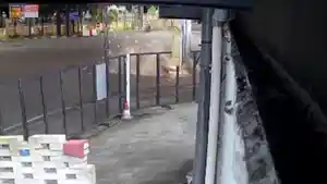 20260219-semarang-cctv-laka-milo.jpg