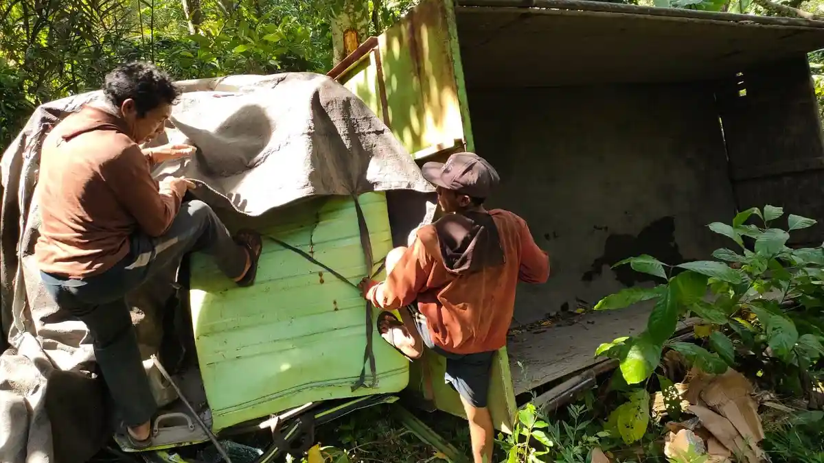 JATUH ke Jurang Sedalam 30 Meter, Begini Nasib Truk Pengangkut Kayu di Karangasem 