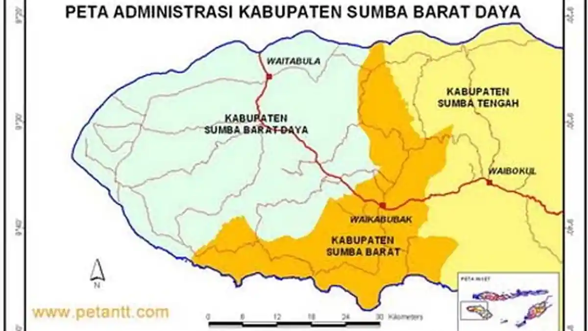 Batasi Pemotongan Hewan  Saat Upacara Adat di Sumba Barat