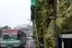 Taman Vertikal 