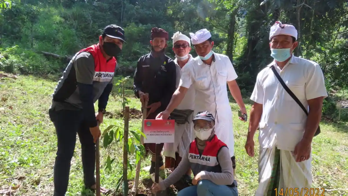 Hijaukan Bali di Perayaan Tumpek Wariga, Pertamina Tanam 500 Pohon
