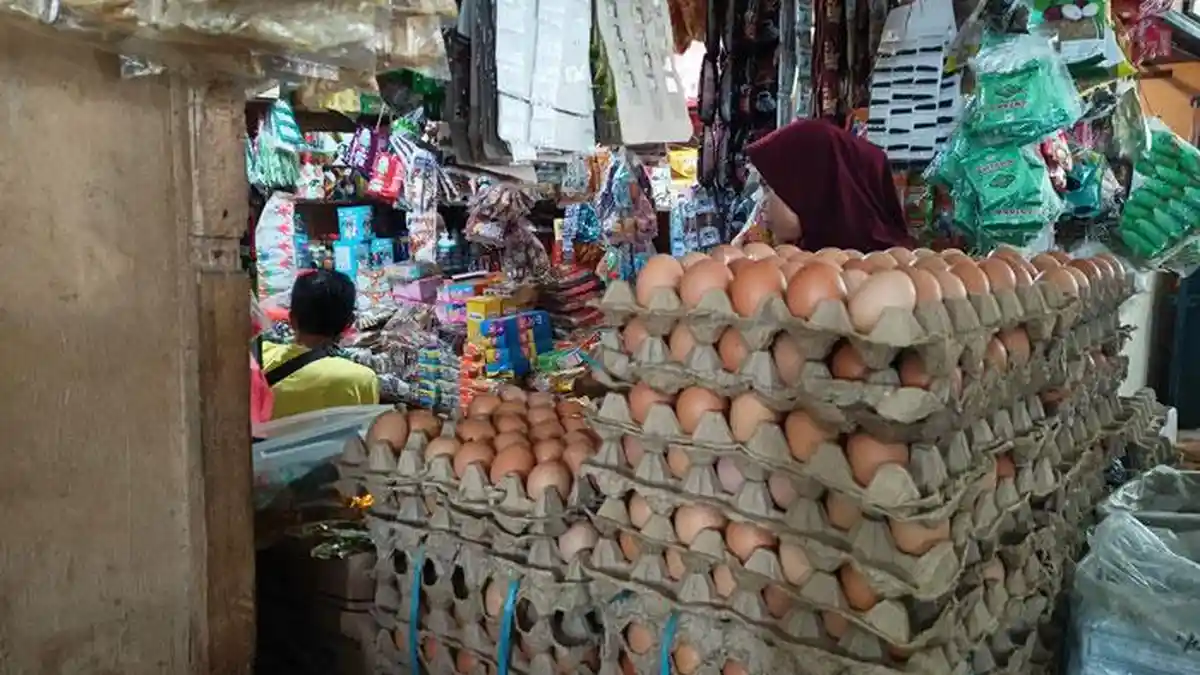 Harga Telur Ayam di Karimun Turun, Daging Ayam Naik Rp 4 Ribu per Kg