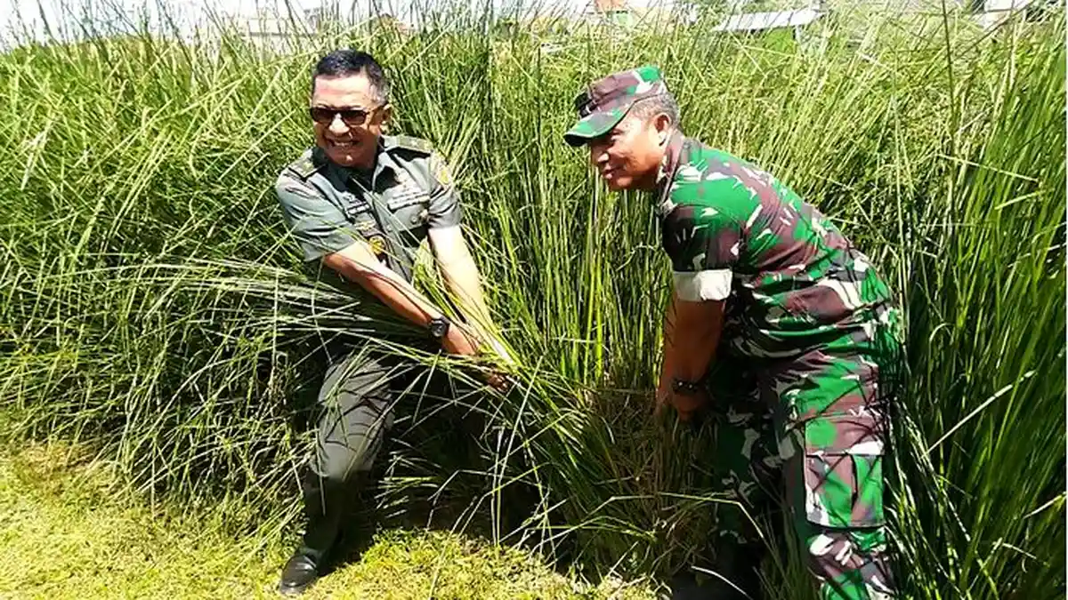 Antisipasi Longsor dan Erosi, Wantannas Akan Tanam 1 Miliar Vetiver di Berbagai Daerah