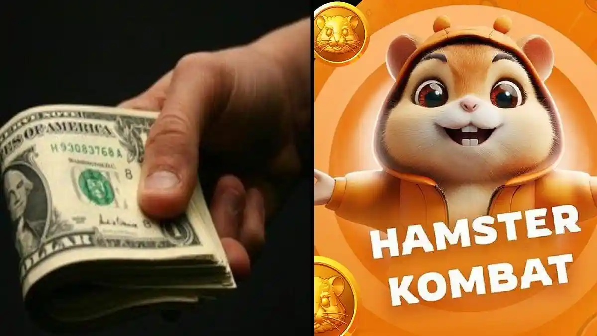 Hamster Kombat Menguntungkan, Tonton Videonya Langsung Dapat Uang, Ikuti Triknya Agar Makin Cuan
